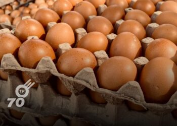 El DANE reporta una disminución en el precio del huevo en Colombia, destacando variaciones regionales y su impacto en el mercado agropecuario.