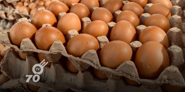 El DANE reporta una disminución en el precio del huevo en Colombia, destacando variaciones regionales y su impacto en el mercado agropecuario.