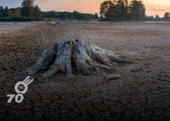 En lo corrido del 2024, según cifras suministradas por la entidad territorial, se han registrado 237 incendios forestales que han tenido lugar en varias regiones del país, tres de ellos en la capital Araucana.