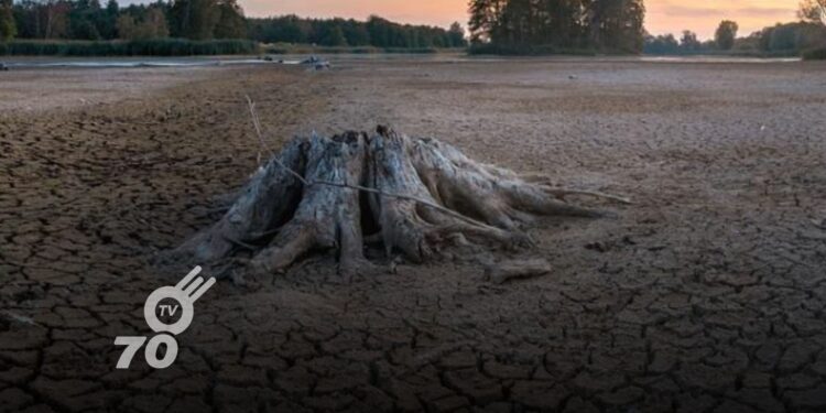 En lo corrido del 2024, según cifras suministradas por la entidad territorial, se han registrado 237 incendios forestales que han tenido lugar en varias regiones del país, tres de ellos en la capital Araucana.