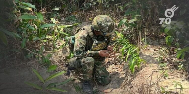 Alerta en Tame por instalación de artefactos explosivos en zona rural