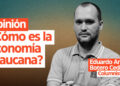 Opinión: ¿Cómo es la economía araucana?