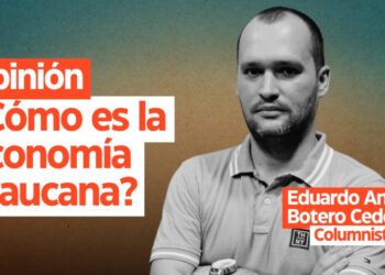 Opinión: ¿Cómo es la economía araucana?