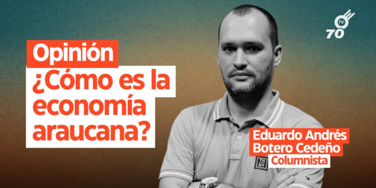 Opinión: ¿Cómo es la economía araucana?