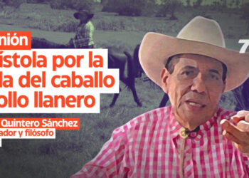 Opinión: Epístola por la vida del caballo criollo llanero