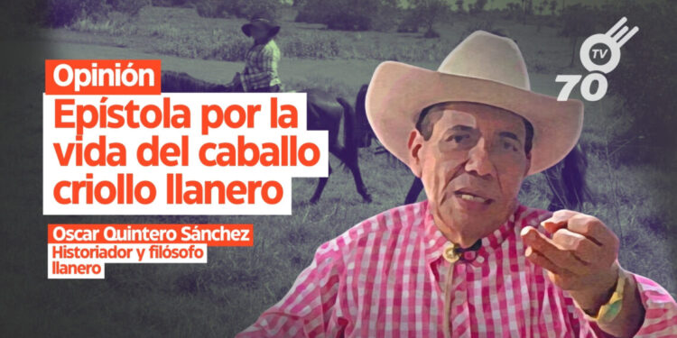 Opinión: Epístola por la vida del caballo criollo llanero