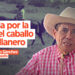 Opinión: Epístola por la vida del caballo criollo llanero