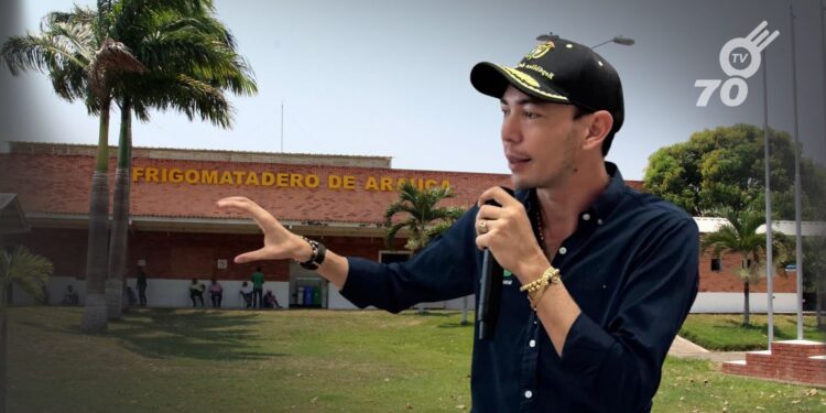 El frigomatadero de Arauca reanuda hoy el sacrificio de reses, asegurando el suministro de carne tras superar trámites de contratación.