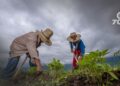 La Sociedad de Agricultores de Colombia alerta sobre un posible aumento en la informalidad laboral en el campo debido a la reforma laboral.