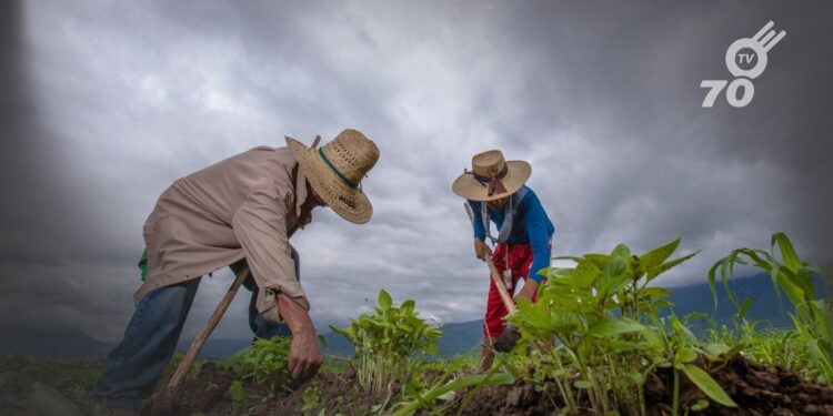 La Sociedad de Agricultores de Colombia alerta sobre un posible aumento en la informalidad laboral en el campo debido a la reforma laboral.