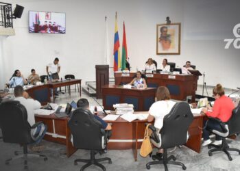 Ana Zuleyma Mendoza Niño, directora de la Uaesa, propone nuevas fuentes de financiación para enfrentar desafíos financieros y mejorar la salud en Arauca.