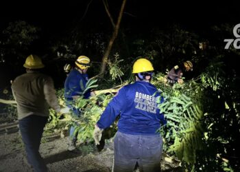 Un fuerte vendaval afectó al 70% de Arauca, derribando árboles y postes, lo que provocó interrupciones eléctricas. Autoridades trabajan en la reparación.