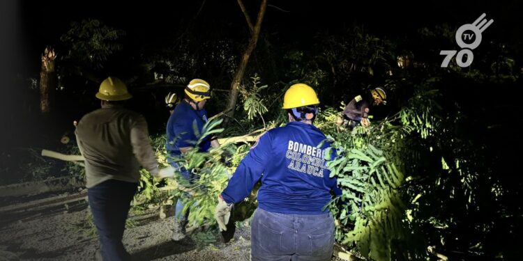 Un fuerte vendaval afectó al 70% de Arauca, derribando árboles y postes, lo que provocó interrupciones eléctricas. Autoridades trabajan en la reparación.