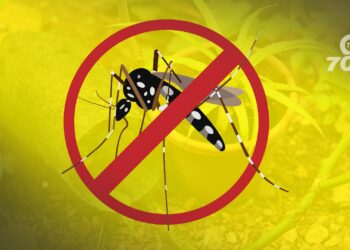 Colombia registra 198 muertes confirmadas por dengue en 2024. El INS reporta más de 301.000 casos y advierte sobre regiones con mayores riesgos.