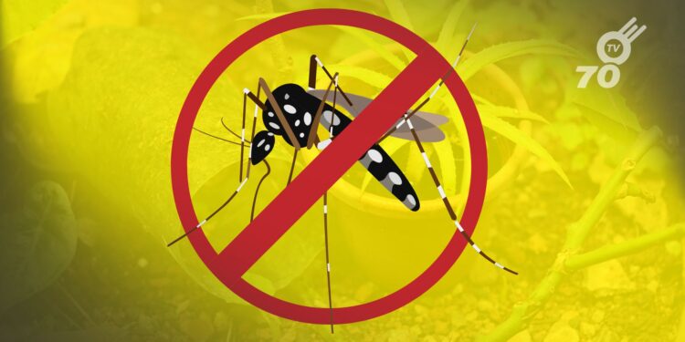 Colombia registra 198 muertes confirmadas por dengue en 2024. El INS reporta más de 301.000 casos y advierte sobre regiones con mayores riesgos.