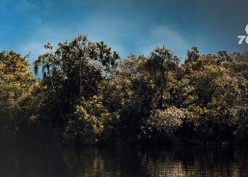 Fundación Corocoras promueve la protección ambiental en Orinoquía en el Día Internacional para la Prevención de la Explotación del Medio Ambiente en Conflictos Armados.