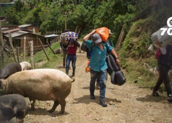 El Gobierno suspendió los diálogos con el ELN tras los enfrentamientos en el Catatumbo, que dejaron 80 muertos y cientos de desplazados.