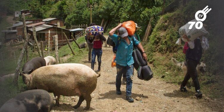 El Gobierno suspendió los diálogos con el ELN tras los enfrentamientos en el Catatumbo, que dejaron 80 muertos y cientos de desplazados.