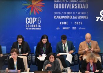 La COP16 alcanzó un acuerdo para financiar la conservación de la biodiversidad, asegurando recursos para proyectos ambientales en países en desarrollo.