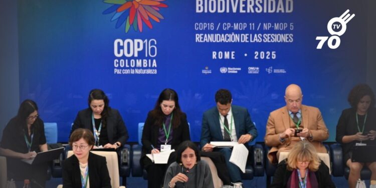 La COP16 alcanzó un acuerdo para financiar la conservación de la biodiversidad, asegurando recursos para proyectos ambientales en países en desarrollo.