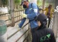 ASOGANADEROS solicita al ICA mejorar la atención en Panamá de Arauca ante demoras en trámites que afectan la actividad ganadera en la región.
