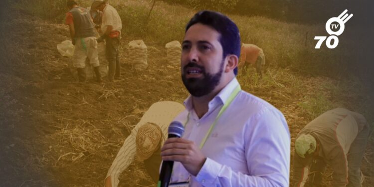 El Gobierno destina fondos en el Catatumbo para seguridad, educación y sustitución de cultivos ilícitos. Conoce cómo se distribuirán los recursos.