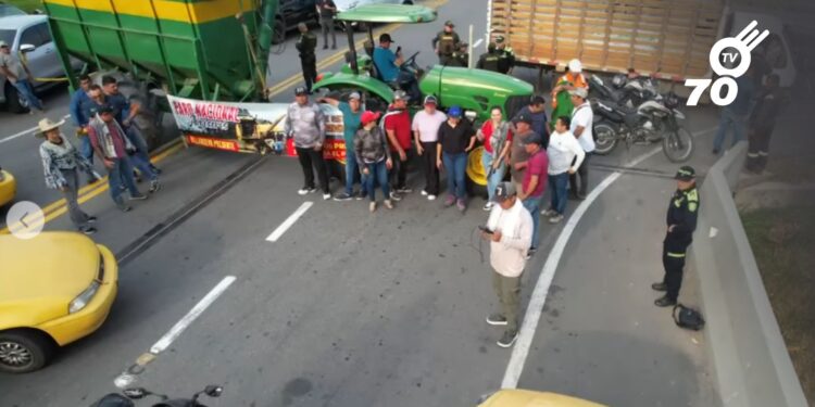 Productores de arroz en Casanare bloquean la vía Yopal-Aguazul en protesta por la crisis del sector. Exigen medidas del Gobierno Nacional.