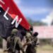 ELN anuncia suspensión de diálogos de paz con el Gobierno por falta de garantías