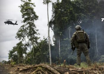 Colombia enfrenta posible descertificación de EE. UU. en la lucha antidrogas