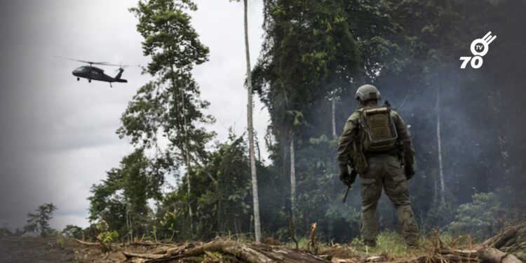 Colombia enfrenta posible descertificación de EE. UU. en la lucha antidrogas