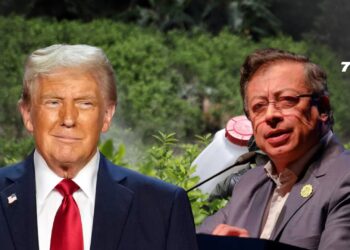 Donald Trump descertificó a Colombia en la lucha antidrogas y puso condiciones para revertir la medida