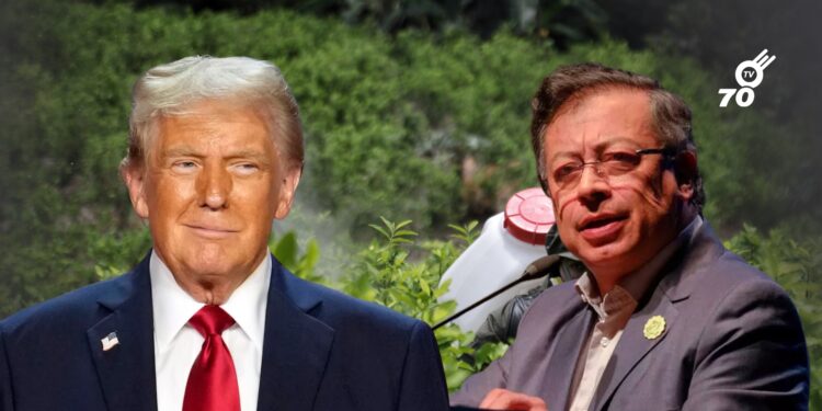 Donald Trump descertificó a Colombia en la lucha antidrogas y puso condiciones para revertir la medida