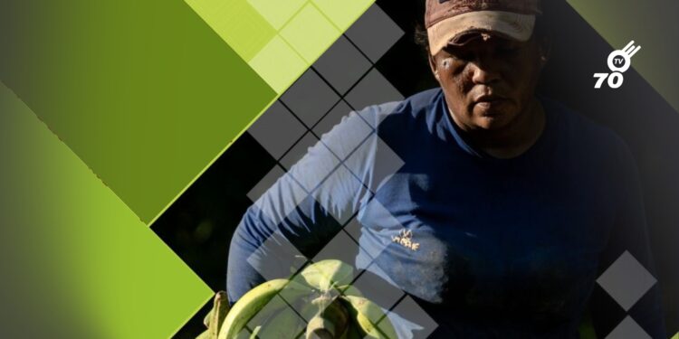 Comfiar anuncia la realización de una brigada de atención y capacitación el 12 de noviembre en la capital araucana por parte de la Unidad de Gestión Pensional y Parafiscales UGPP