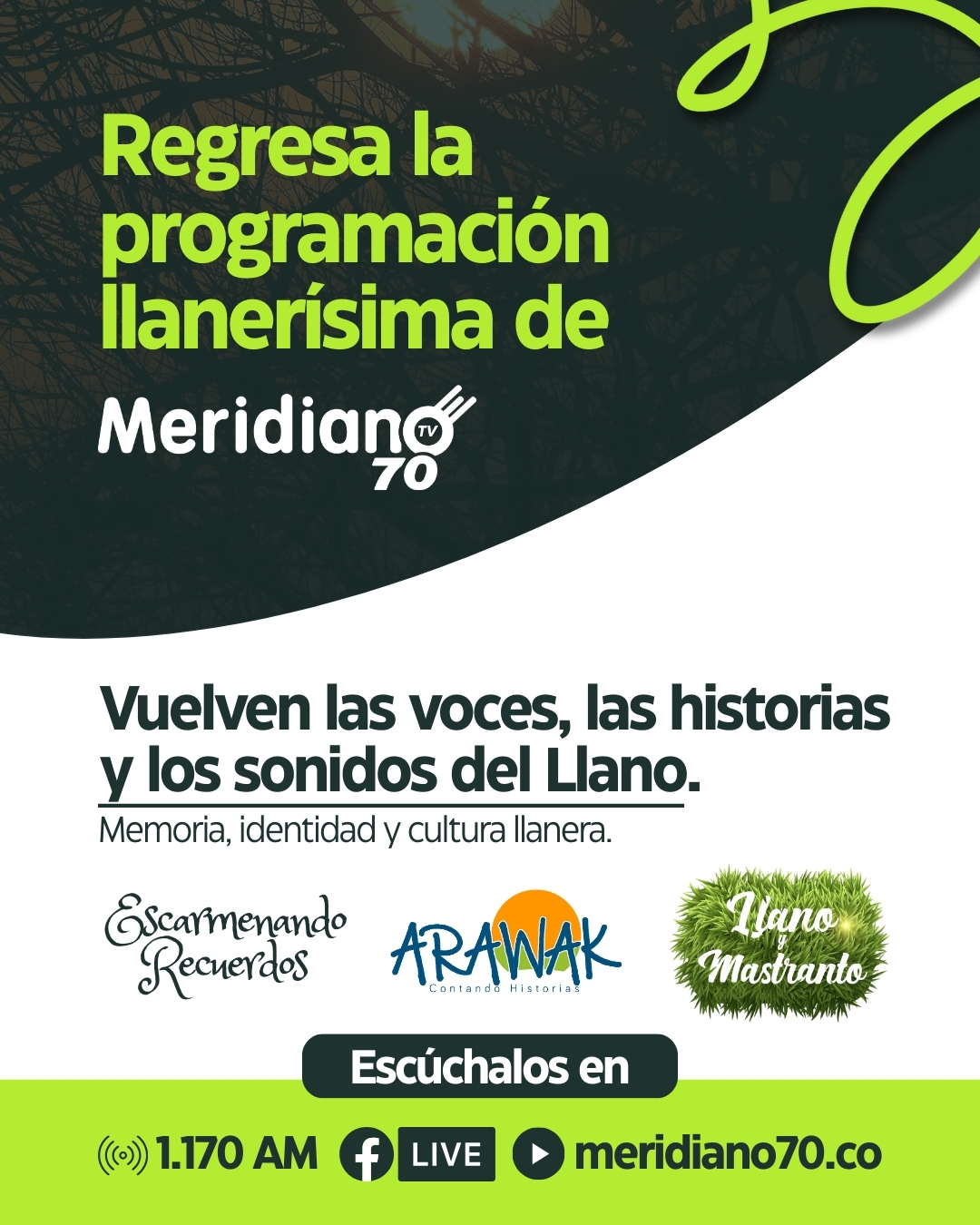 promo m70 llanerisimo