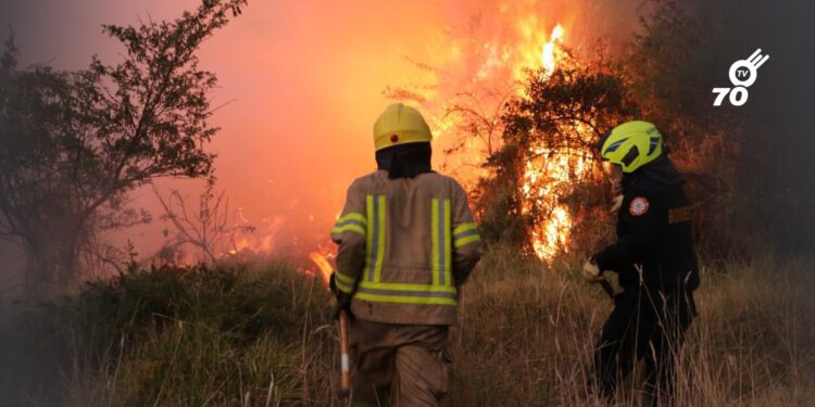 IDEAM alerta alto riesgo de incendios forestales en municipios de Arauca y la Orinoquia