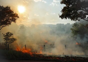 Corporinoquia reporta alerta roja por incendios en el 38% del territorio de la Orinoquía