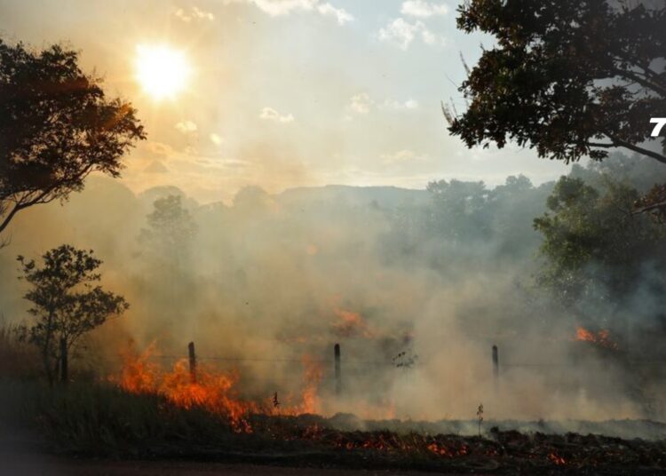 Corporinoquia reporta alerta roja por incendios en el 38% del territorio de la Orinoquía