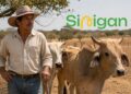 ganaderos araucanos en problemas por Sinigan