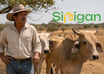 ganaderos araucanos en problemas por Sinigan