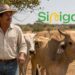 ganaderos araucanos en problemas por Sinigan