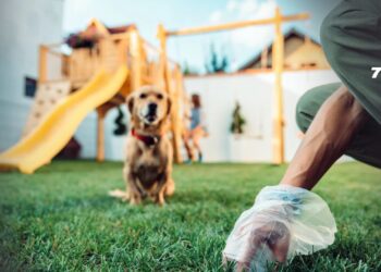 Alcaldía de Arauca lanza campaña para promover la recolección de excrementos de mascotas