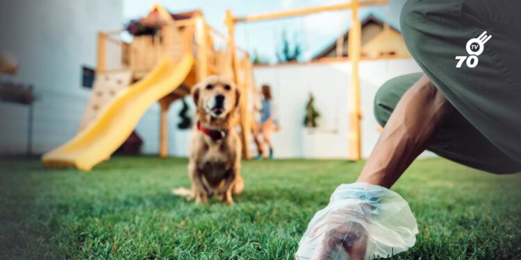 Alcaldía de Arauca lanza campaña para promover la recolección de excrementos de mascotas
