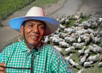 Opinión: Epístola del origen del ganado en el Arauca colombiano