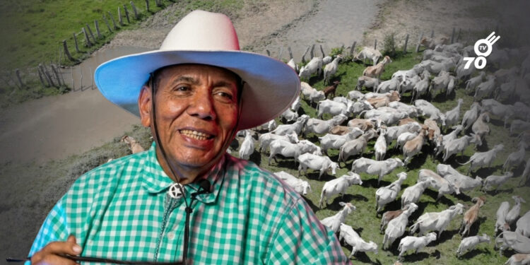 Opinión: Epístola del origen del ganado en el Arauca colombiano