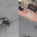Menores fueron expuestos en disturbios durante protestas en la sede del Ministerio del Interior en Bogotá