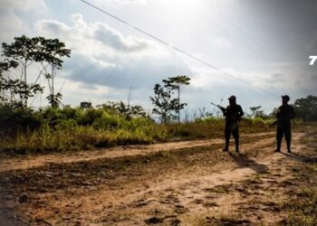 Informe de Asocapitales advierte aumento de grupos armados en Colombia