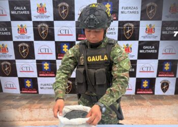 Ejército incautó cerca de cinco toneladas de “tierras raras” en Vichada