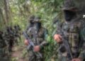 Audios sobre acercamientos con el Clan del Golfo generan nuevos cuestionamientos sobre la paz total