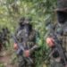 Audios sobre acercamientos con el Clan del Golfo generan nuevos cuestionamientos sobre la paz total