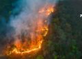 Incendios forestales mantienen la atención en Colombia ante posible intensificación de El Niño
